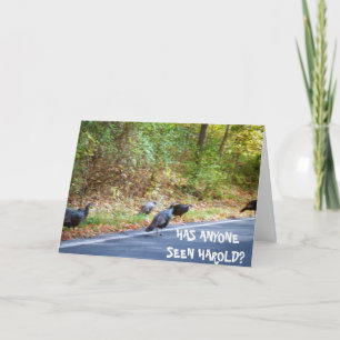 THANKSGIVING, HAROLD THE TURKEYS MISSING card