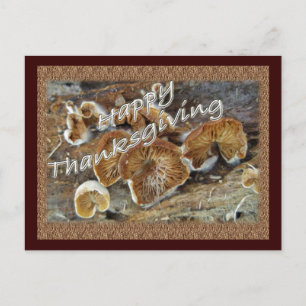 Thanksgiving Inside Out Mushrooms Items Holiday Postcard