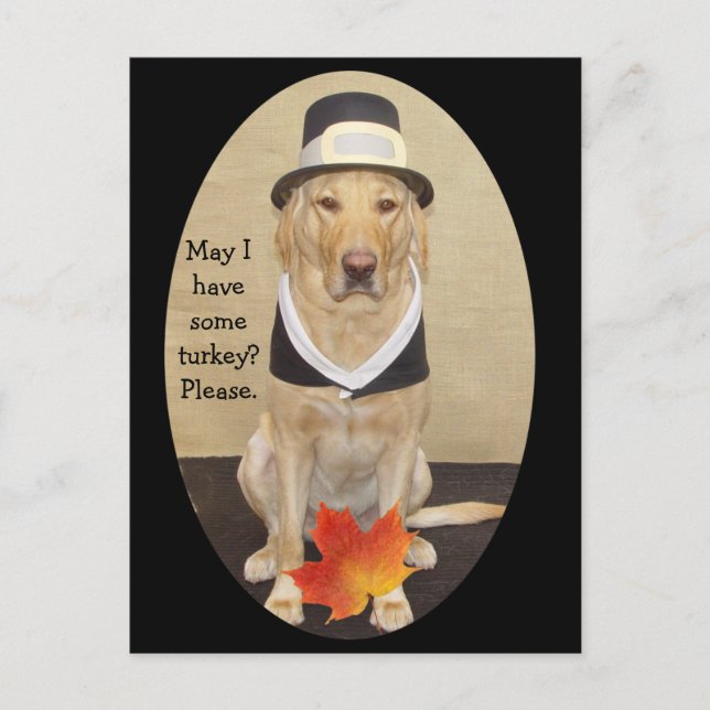 Thanksgiving Invitation Postcard (Front)