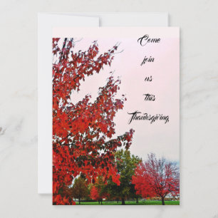 THANKSGIVING INVITE