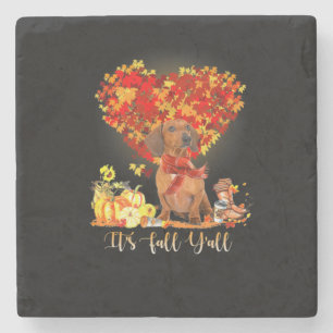 Thanksgiving It's Fall Y'all Dachshund Stone Coaster