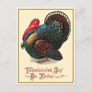 Thanksgiving Joy Be Yours - Vintage Postcard