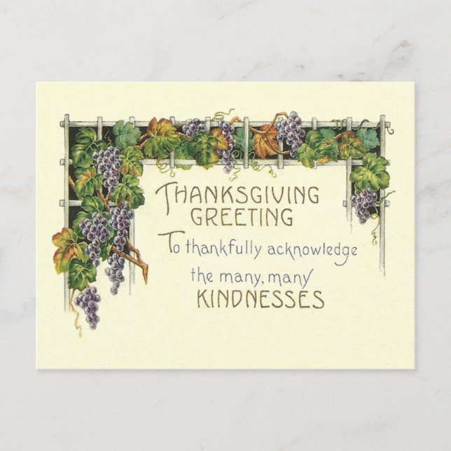Thanksgiving Kindness Holiday Postcard (Front)