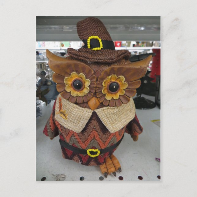 Thanksgiving Owl Postcard (Front)
