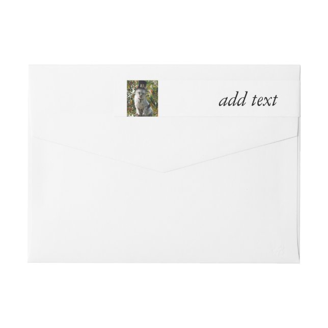 Thanksgiving Pilgrim Cat Wrap Around Label (Back)