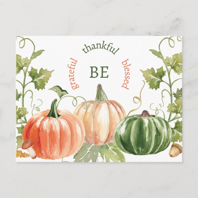 Thanksgiving Pumpkin Harvest  Holiday Postcard (Front)