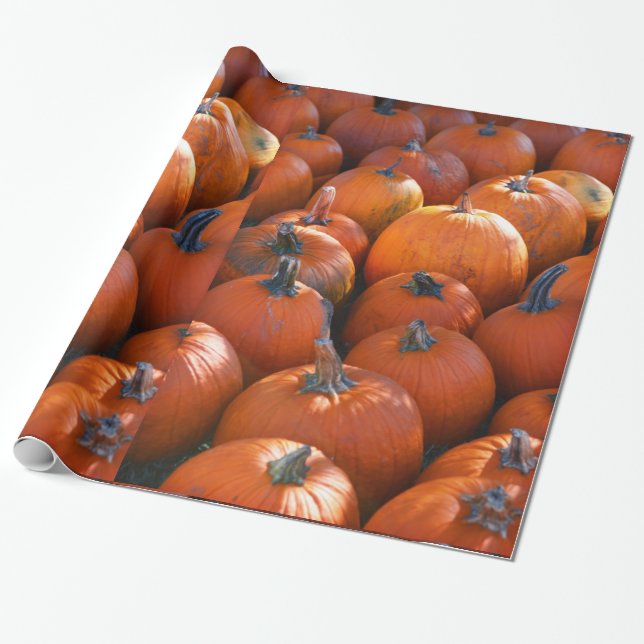 Thanksgiving Pumpkin Patch Wrapping Paper (Unrolled)