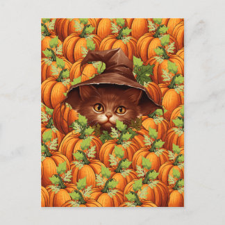 THANKSGIVING PUMPKINS CUTE CAT POSTCARD
