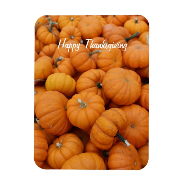 Thanksgiving pumpkins magnet (Vertical)