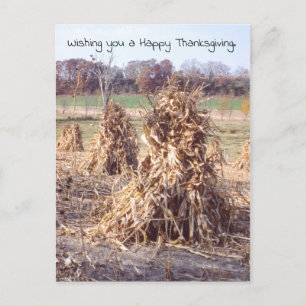 Thanksgiving Retro Autumn Cornstalk Harvest Holiday Postcard