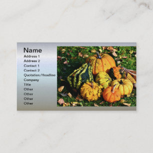 Thanksgiving Scene with Pumpkins-Corn-Gourds Business Card