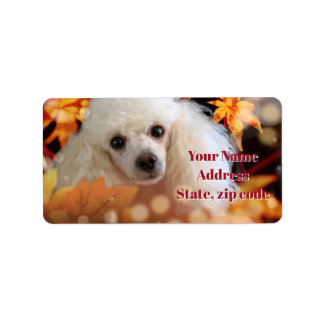 Thanksgiving Toy Poodle puppy address labels