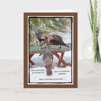 Thanksgiving Trio of Turkeys Card - Blessings