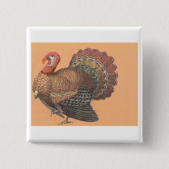 Thanksgiving Turkey 2 Inch Square Button (Front)
