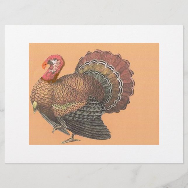 Thanksgiving Turkey Flyer (Front)