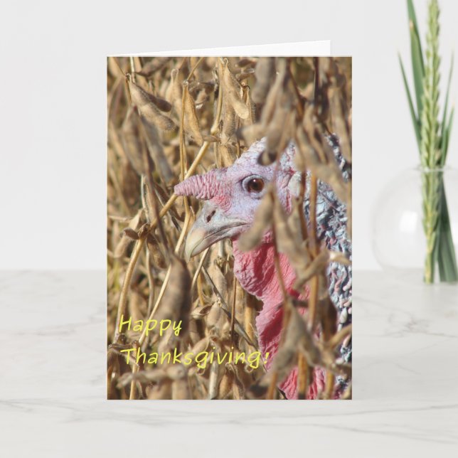 Thanksgiving Turkey in Soybean Field Holiday Card (Front)