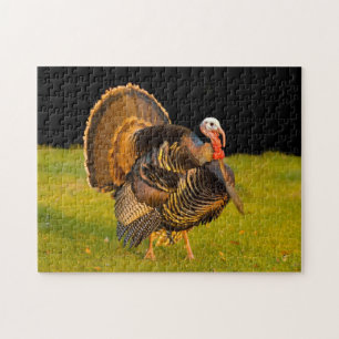 Thanksgiving turkey jigsaw puzzle