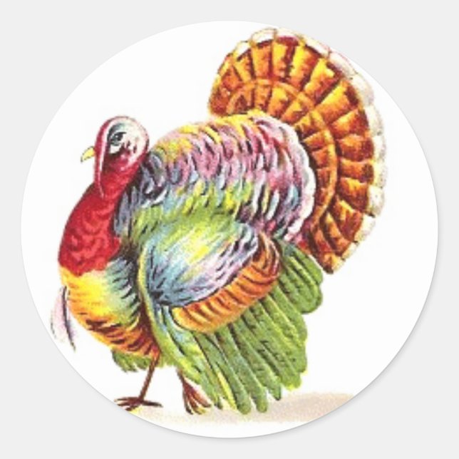 Thanksgiving Turkey Stickers - Colourful (Front)
