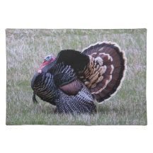 Thanksgiving Wild Turkey Cloth Placemat