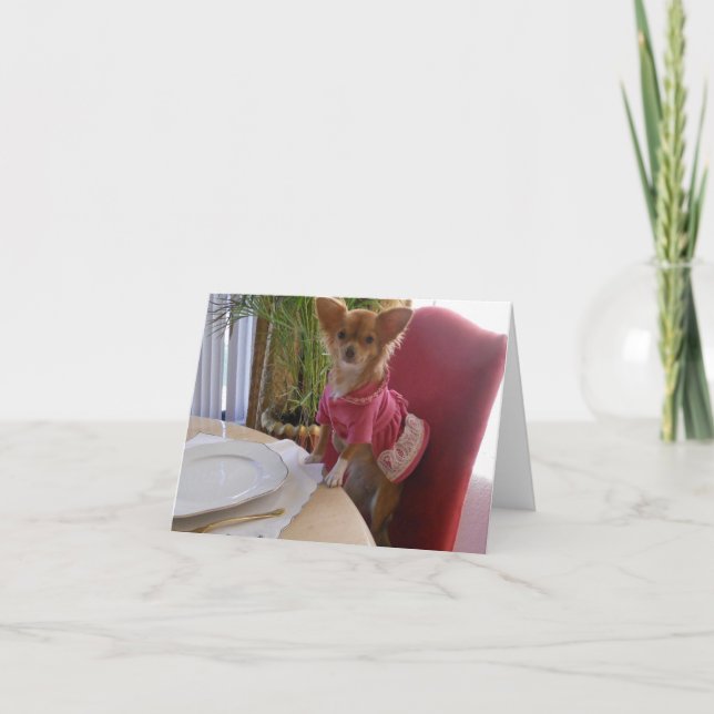 Thanksgiving with adorable chihuahua holiday card (Front)