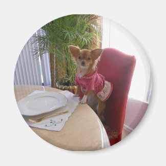 Thanksgiving with chi magnet