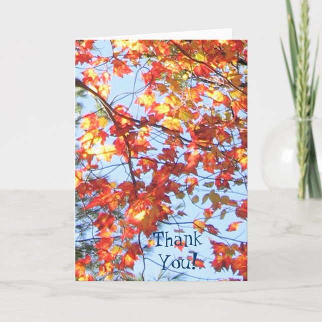 ThankYou! Fall in Maine Thank You Card (Front)