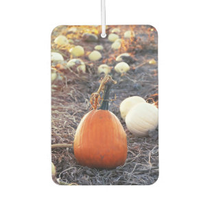 That Autumn Feeling Air Freshener