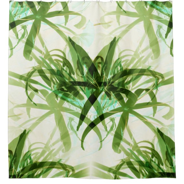 That Bamboo  Look... (Front)