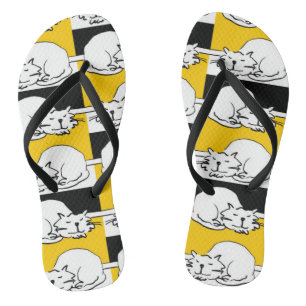 That Cat is sleeping. Flip Flops