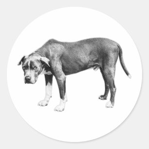 That Gentle Look – Ink & Patience Classic Round Sticker
