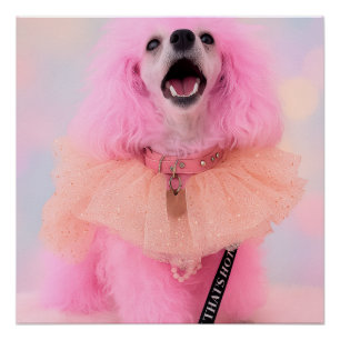 That’s Hot That’s Pink Retro Kawaii Poodle Poster