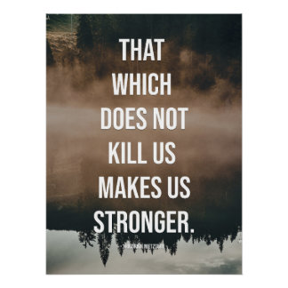 That which does not kill us makes us stronger. poster