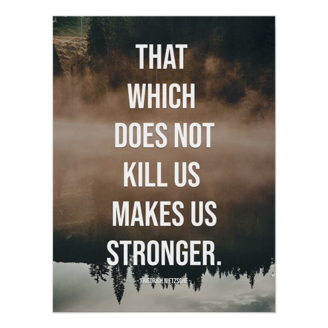 That which does not kill us makes us stronger. poster (Front)