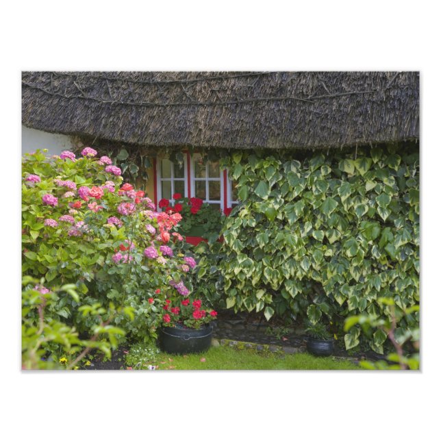 Thatched cottage, Adare, County Limerick, Photo Print (Front)