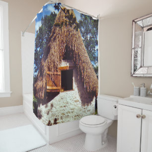 Thatched Roof Hut