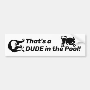 That's a DUDE in the Pool! Stop Erasing Women Bumper Sticker