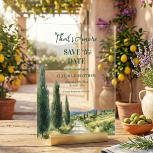 That's Amore Italian View Wedding Save the Date Acrylic Invitations