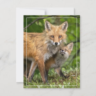 That's My Dad Holiday Card