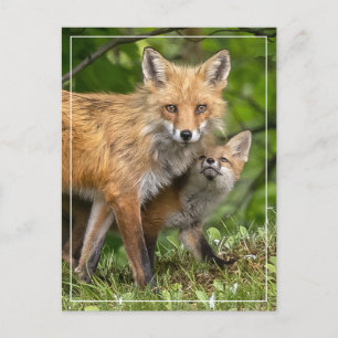 That's My Dad Postcard