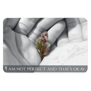 "That's okay" Motivation Affirmation Flexible Magnet