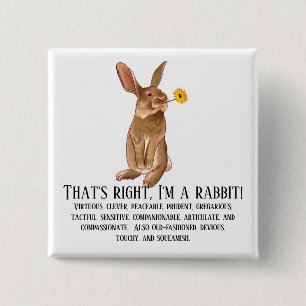 That's right, I'm a rabbit! 2 Inch Square Button