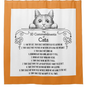 The 10 Commandments of Cats Funny