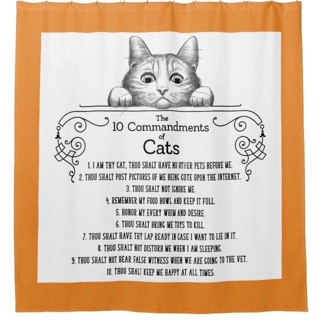 The 10 Commandments of Cats Funny (Front)