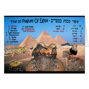 The 10 Plagues Of Egypt