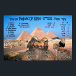 The 10 Plagues Of Egypt - English & Hebrew Poster<br><div class="desc">"Jewish Expressions, " offers a shopping experience as you will not find anywhere else. Welcome to our store. Tell your friends about us and send them our link:  http://www.zazzle.com/YehudisL?rf=238549869542096443*</div>
