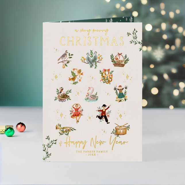 The 12 Days of Christmas | Illustrated Holiday (Holiday In Situ 2)