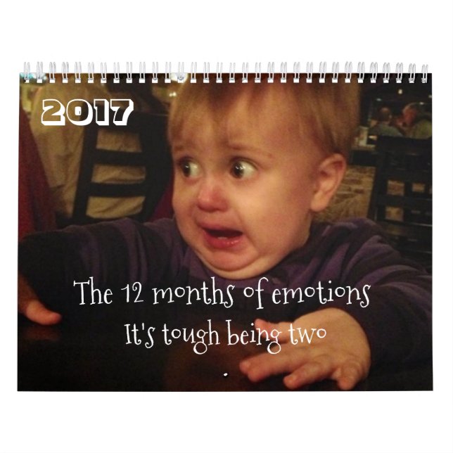 The 12 months of emotions-toddler problems. FUNNY Calendar (Cover)