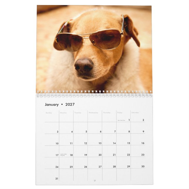 The 2013 Chuck Calendar (Jan 2027)