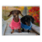 The 2026 Starbox Dachshunds Calendar