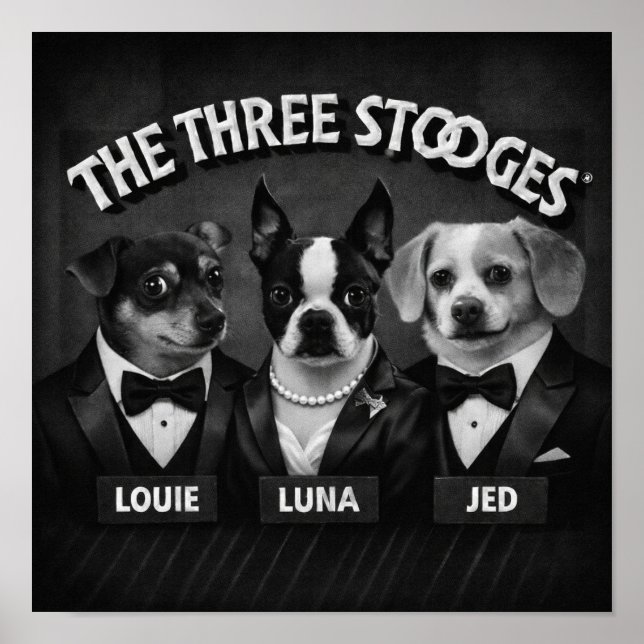 "The 2 Dooges" Poster (Front)